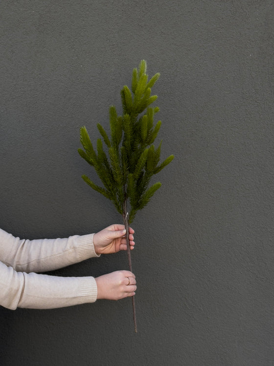 31" Fresh Touch Spruce Branch