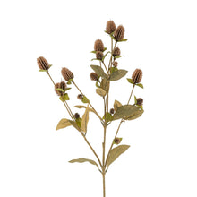  25" Globe Amaranth Spray