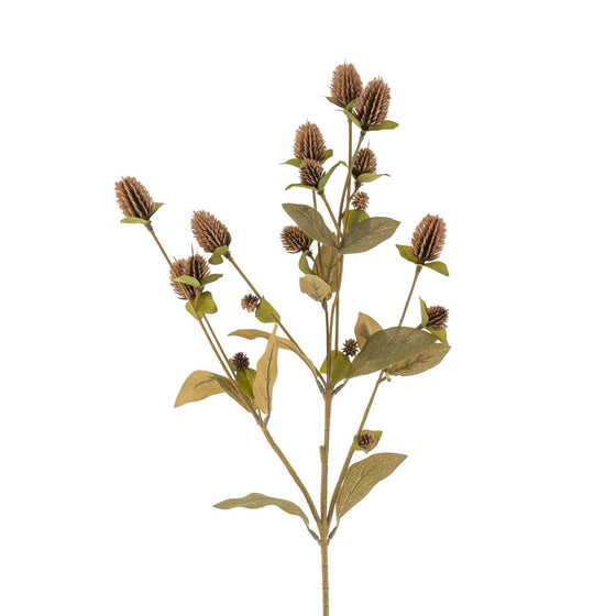 25" Globe Amaranth Spray