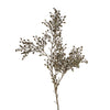 32" Dried Sedum Spray