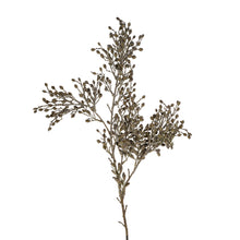  32" Dried Sedum Spray