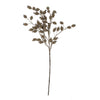 36" Dried Berry Branch