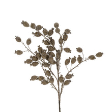  36" Dried Berry Branch