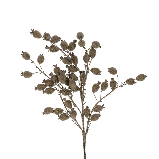 36" Dried Berry Branch
