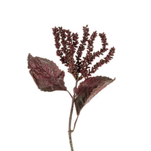  23" Dripping Seed Stem