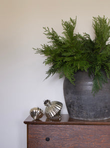  28" Fresh Touch Northern White Cedar Bundle