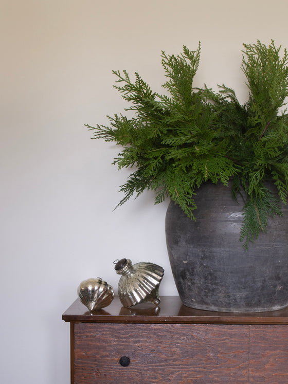 28" Fresh Touch Northern White Cedar Bundle