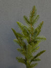 27" Fresh Touch Balsam Fir Stem