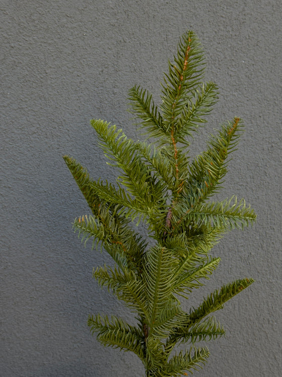 27" Fresh Touch Balsam Fir Stem