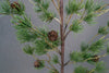 33" Blue Spruce Pinecone Branch