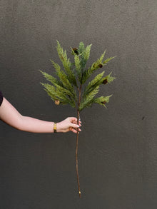  43" Cedar with Pinecones Spray