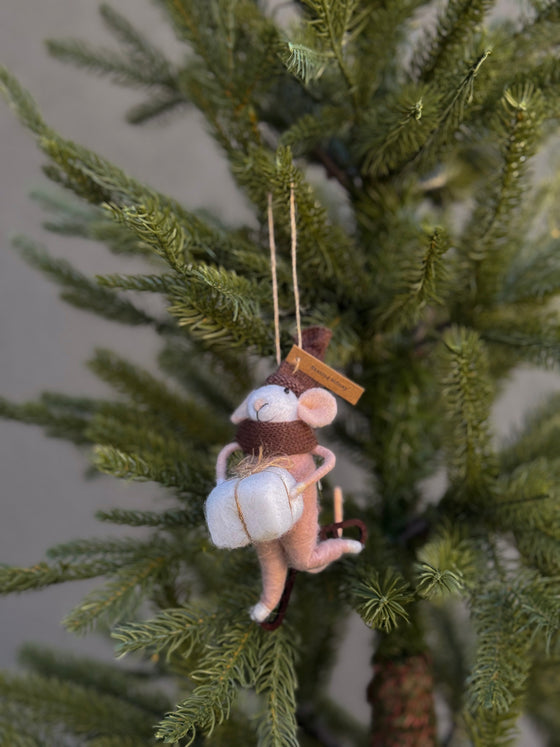 Skating Sydney Mouse