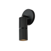 Reeds Directional Sconce