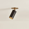 Caleb Task Flushmount