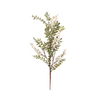 White & Green Berry Branch