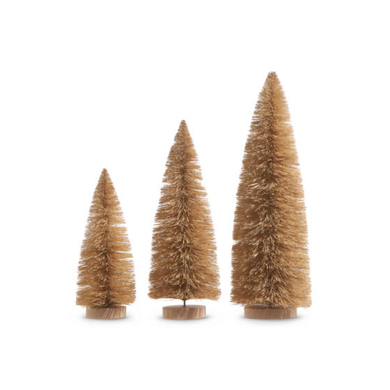 Natural Bottle Brush Tree