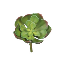  Green Succulent Pick
