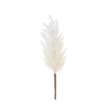  Pampas Grass Spray