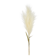  Pampas Grass Plume