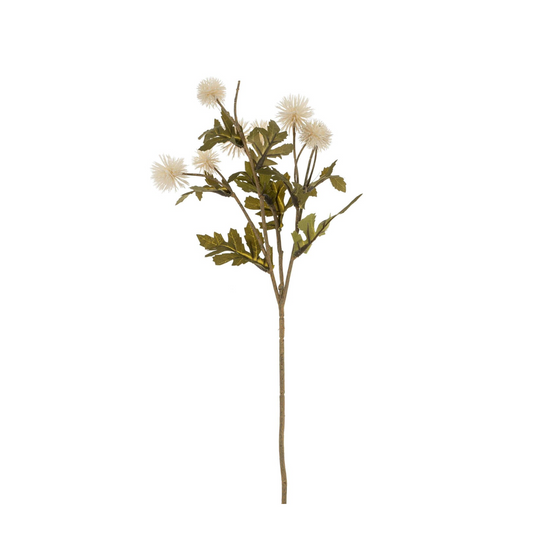 Pom Pom Stem