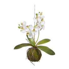  15" Real Touch White Orchid with Moss Ball