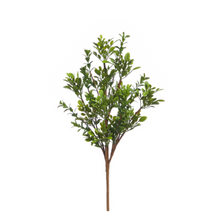  18" Boxwood Pick