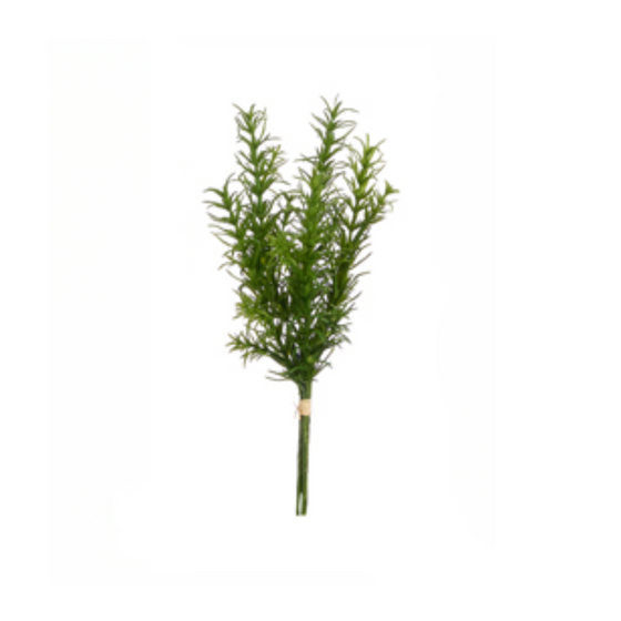 Rosemary Herb Stem