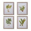 Fern Framed Wall Art