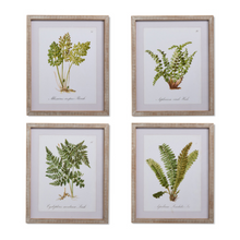  Fern Framed Wall Art