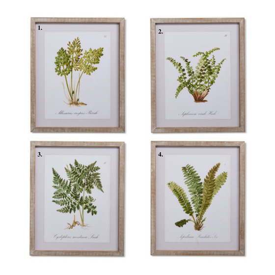 Fern Framed Wall Art