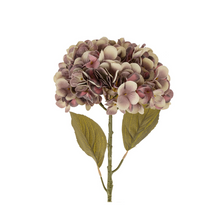  Faded Purple Hydrangea Stem