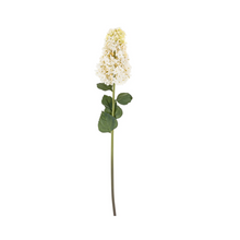  White Hydrangea Paniculata Stem