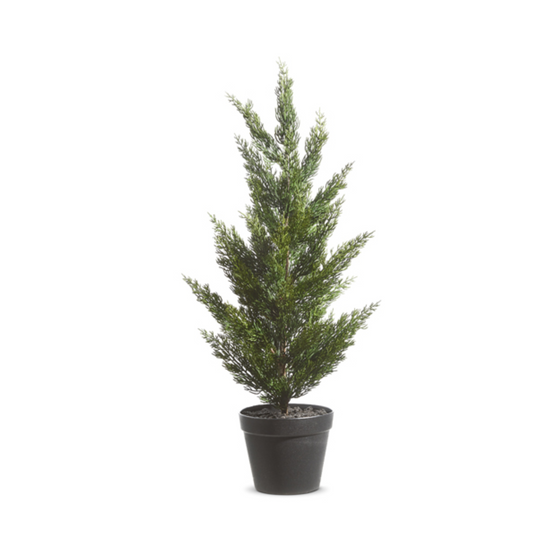 28" Potted Cedar Tree