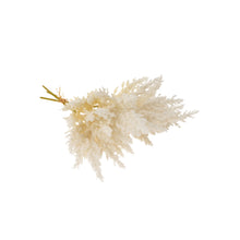  Pampas Grass Bundle