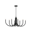 Odensa Oval Chandelier