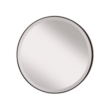  Johnson Mirror