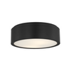 Albee Medium Flushmount