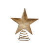 Champagne Star Tree Topper