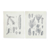 Pinecone Prints