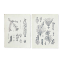 Pinecone Prints