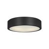 Albee Large Flushmount