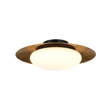  Zinola Medium Flushmount
