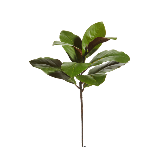 25" Magnolia Leaf Spray