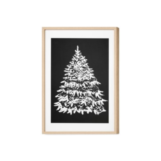 Snowy Tree Framed Print