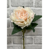 23" Blush Peony Stem