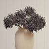 Viburnum Berry Stem - Deep Purple