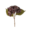 Heirloom Hydrangea Stem - Deep Purple
