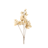 Sweet Pea Stem