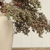 Harvest Berry Spray - Green