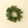 Frosted Berry Mini Wreath